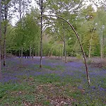 Le Clos Fleuri Apartment Sautin