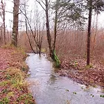 Le Clos Fleuri Sautin