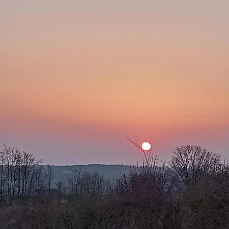 Le Clos Fleuri 萨乌丁