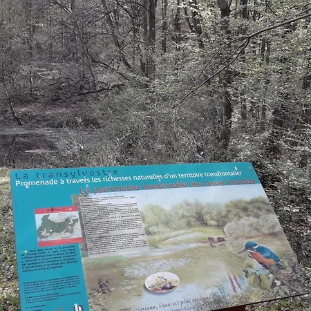 公寓 Le Clos Fleuri 萨乌丁