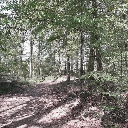 Le Clos Fleuri 公寓 萨乌丁