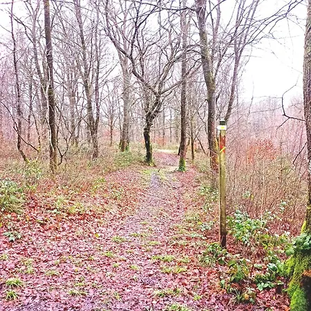 Le Clos Fleuri 公寓 萨乌丁