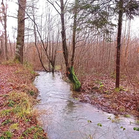 Le Clos Fleuri Sautin
