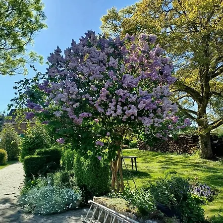 Le Clos Fleuri Sautin