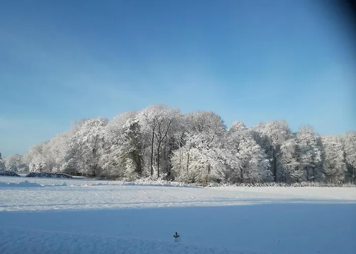 Le Clos Fleuri Apartment