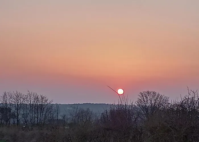 Le Clos Fleuri Sautin