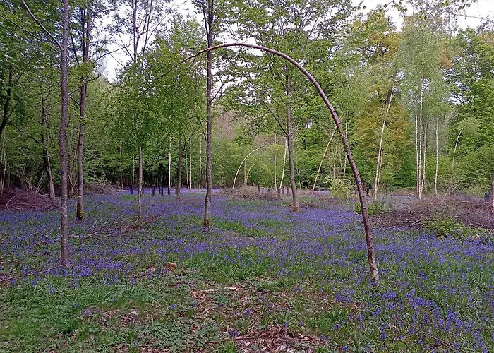 Le Clos Fleuri Apartamento Sautin