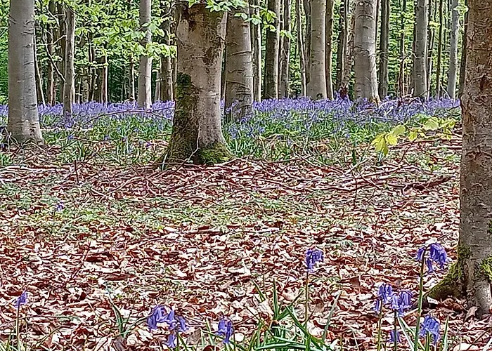 Apartment Le Clos Fleuri *