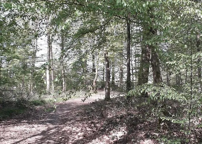 Le Clos Fleuri Apartment Sautin