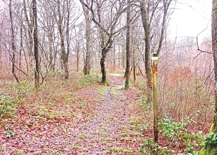 Le Clos Fleuri Apartment Sautin