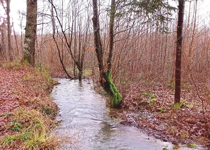 Le Clos Fleuri Sautin