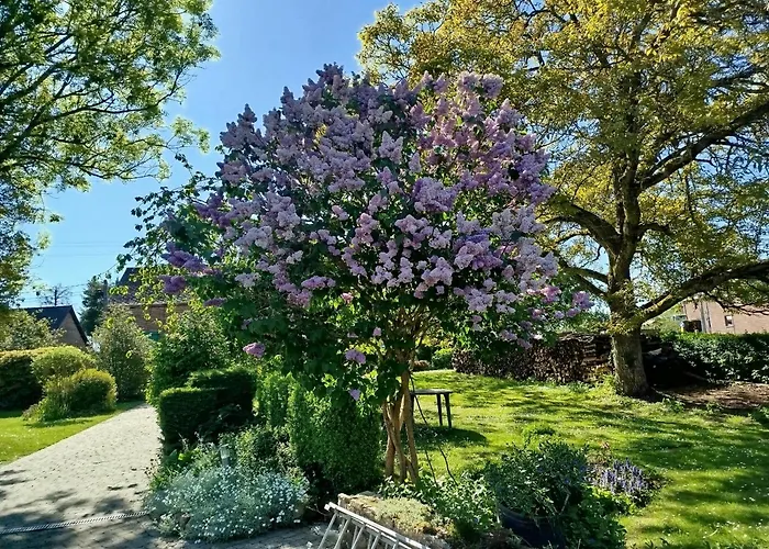 Le Clos Fleuri Sautin